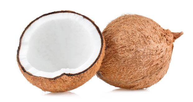 Coconuts can improve WiFi signal